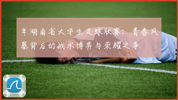 年湖南省大学生足球联赛：青春风暴背后的战术博弈与荣耀之争